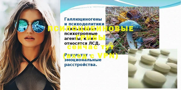 эйфоретик Аркадак