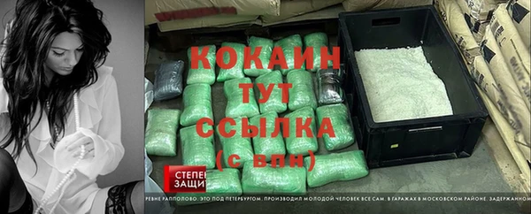 эйфоретик Аркадак