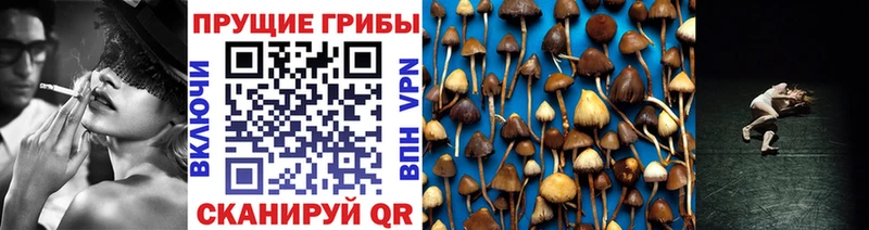 Галлюциногенные грибы Magic Shrooms  Комсомольск 